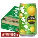  отметка 3 раз . sake структура Takara non aru сауэр ......g зеркальный ru350ml жестяная банка 24шт.@1 кейс бесплатная доставка 