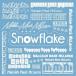 ڼʡCD/Malcolm Mask McLaren/Snowflake