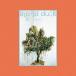ڼʡCD/chilldspot/around dusk (CD+DVD)