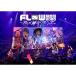 BD/FLOW/FLOW Ķ 2020 ˥꥿󥺡 at ĥå٥ȥۡ(Blu-ray) (̾B)