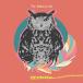 CD/The Winking Owl/Thanks֥쥿 ()