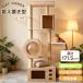  кошка tower башня для кошки из дерева высота 171.5cm космический корабль .. дом 2. подножка шт. коготь .. paul (pole) выставка . шт. гамак движение нехватка аннулирование ... задний .. модный крепкий много голова ..