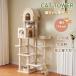 [ все магазин 5%OFF купон распространение средний ] башня для кошки кошка tower кошка tower много голова .. высота 174cm космический корабль .. дом .. класть type кошка tower модный tower большой возможно love 