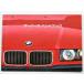 BMW 318i,318iscoupe,320i320icoupe,325i,325icoupe E36 инструкция по эксплуатации 