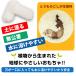 �t�F���b�g �������� �v���C���X�^�[�` ��������  �t�F���b�g �������� TOY �X�g���X���U �f���v�� ECO �G�R ���S ���S ���� �֘A�摜2