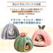 �y�b�g�x�b�h�ӂ�ӂ�  5TYPE �L �h�[���^ �n�E�X �J�{�`�� �y�b�g�e���g �N�b�V�����t��  ������ �������� �������� �������薰��� �֘A�摜2