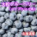 [ reservation currently accepting ] Hokkaido production . peace 6 year .. blueberry ( freezing )L size 500g×2 piece 