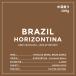  Brazil кофе бобы Hori zon чай na сельское хозяйство . рука .... бобы 100g собственный .. специальный ti кофе пакет 