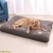  домашнее животное bed прямоугольный кошка собака . собака большой собака домашнее животное коврик собака коврик кошка коврик нежный собака bed кошка bed для домашних животных подушка 