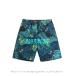  beach pants mesh inner botanikaru motif stripe men's print surf pants water land both for 5 minute height swimsuit sea bread short pants 