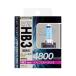  arcs (axs) GRX-72 HB3 галоген клапан(лампа) 4800K super белый 