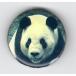  жестяная банка значок ( Panda )