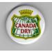 жестяная банка значок ( Canada dry )