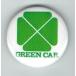  can badge ( green car )