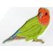  вышивка утюг нашивка птица длиннохвостый попугай (ko The Klein ko)
