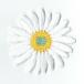  вышивка утюг нашивка цветок ( Margaret / Дэйзи )