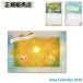 �A�} �J�����_�[ Ama calender 2026 (���[���֑�������) �J�����_�[ �p���[ �A�C�e�� �O�b�Y �C���e���A