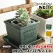 �A�ؔ� ������� �v���X�`�b�N ���� �G�R�|�b�g�p�^ 150 1.6L ��15cm ���s15cm ����12.5cm �������� gardens �p�s�G