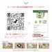 �͔|�L�b�g �͔|�Z�b�g ���V���| �O���[���y�b�g GD-1002 �֘A�摜5