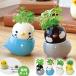  культивирование комплект культивирование комплект . новый керамика ko Logo ro bird simaenaga мята bnchou мелисса лимонная se регулирование лесная земляника o черепаха ромашка 