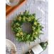 �v���U�[�u�h�t�����[ �v���[���g �M�t�g ���[�X �����\�j�[ �a���� ���j�� �����j�� �V�z�j�� �J�X�j�� �J�Əj�� �ސE�j�� ���ʏj�� �Ǐ��� �~���U �֘A�摜1