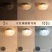 �V�[�����O���C�g LED ~6�� �����R���t ������� ���� ���F �V��Ɩ���� LED���� �V���v�� ���_�� �k�� ���킢�� �ԕ� �J�t�F �Q�� �_�C�j���O ���r���O Latria �֘A�摜4