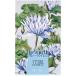  Япония .. цветок способ платина блюз i Len роза .[ одиночный товар внутри емкость /100g]