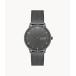  Skagen (SKAGEN) Watch Riis SKW6884 [ наличие есть ]