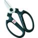 # склон источник живые цветы для зажим рука klie-shonF-170 moss green 90142(1151102)