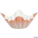 TKG  »(250)  SKA144 QNB4601(1947038)[ӤѤ][ˡ͸][ǳ]