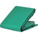 TRUSCO ƥȥå 4t 4600mmXĹ6.0m TETS4(3292436)