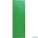 #TRUSCO магнит сиденье без блеска 100X300 зеленый MSN1GN(4144767)