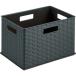 #TRUSCO ротанг style box черный RTB1BK(4163451)