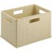 #TRUSCO ротанг style box светло-коричневый RTB1LBR(4163478)