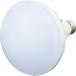 TRUSCO LED 20W LED RTL20W(4886470)