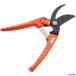 # кактус женский обрезка .1201O(5426724)