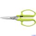 # кактус садоводство . автомобиль in cut pra Sly m зеленый 1280SL(5426735)