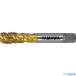 ޥ ®ѥѥ륿å F-SP P4 M12X1.25 FSPM12X1.25(8168119)