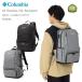20OFFû¨ȯ ӥ å COLUMBIA PU8681 LB Flawless 20L Backpack LBե쥹 20L Хåѥå