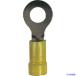 ȥ󥰥ۡ ӥˡʤհü(ݷ) :AWG1210/3.55.5sq եͥ:M10 25 EV1038RBQ EV1038RBQ(2499494)