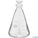 HARIO 򻰳ѥե饹500ml(TS27) TSF500SCI(3889961)
