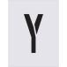#IM stencil Y знак размер 250×125mm AST77(4341589)