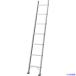 #TRUSCO 1 полосный лестница 2.4m(100kg модель ) TSLA124(6946392)