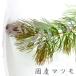 ( Neos распродажа ) местного производства matsumo(10шт.@)