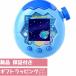���܂������p���_�C�X �u���[ �F �o���_�C Tamagotchi Paradise - Blue Land �Ώ۔N�� 6�ˈȏ�