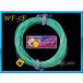ڥ ե饤饤 WF-5F Teal Blue ֥롼꡼