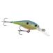  Burke re-fli car Shad Flicker Shad 4