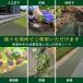 :FGG �h���V�[�g1 m 30m 130g/m�y���ǔŁz�ڂ��������[�� �����ϋv �s�D�z �����V�[�g �l���� ������ ��10�N �s��50�{������50������� ������ �Ռ��� �G�� �֘A�摜4