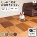���{�� �N�b�V�����t���A �y�b�g ���L �t���A�}�b�g 45�~60cm ���S�� �P�F 36�� �� �L ���r �ؖ� �h�� ���h�~ �͂�����