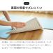 ���� �E�B�Y�y�b�g�t���A 40cm�~40cm 10�����@�͂��� �h�� ��� �h�L �h�_�j ���ʋz�� �y�b�g �W���C���g�}�b�g �J�[�y�b�g �^�C���}�b�g �֘A�摜2